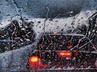 Akryl na platne 2025-05-xx  V dešti - 50 x 70 cm - PRODÁNO