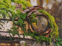 Akryl na platne 2025-05-xy  Abandoned car in forest - 60 x 50 cm - PRODÁNO